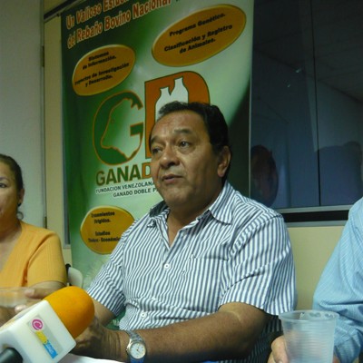 Cría de ganado «doble propósito» busca apoyo 1 1293 8 c